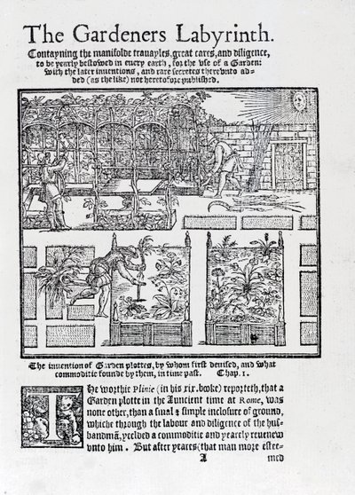 Pergolato costruito come ombra contro il sole e piantagione in aiuole rialzate, da The Gardeners Labyrinth, 1577 da Thomas Hill