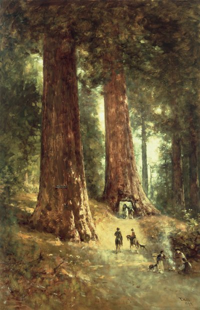 Nelle sequoie, 1899 da Thomas Hill