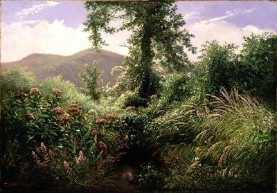 Monti Catskill, Shandaken, New York da Thomas Hiram Hotchkiss