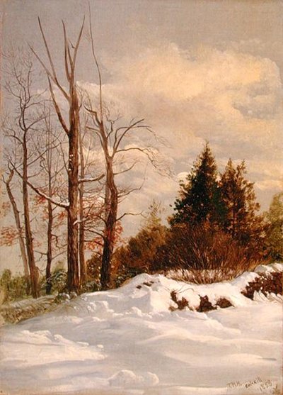 Paesaggio Invernale di Catskill da Thomas Hiram Hotchkiss