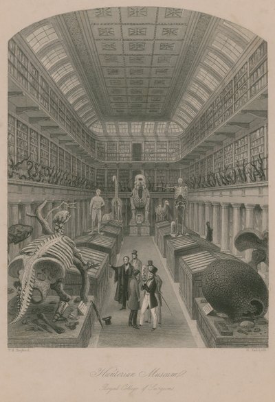Museo Hunterian, Royal College of Surgeons, Londra da Thomas Hosmer Shepherd