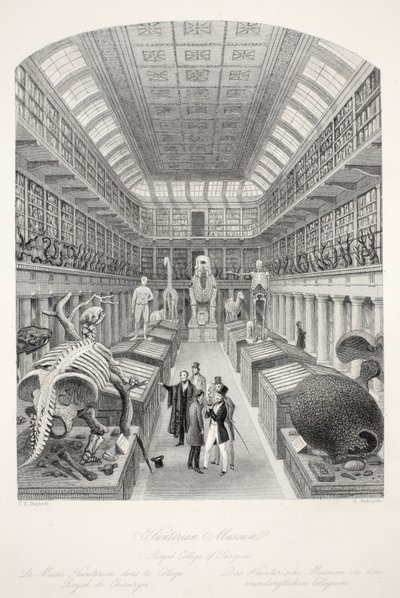 Museo Hunterian, Royal College of Surgeons, da 
