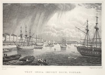 West India Docks, Isle of Dogs, da Londra e i suoi dintorni nel XIX secolo pub. Jones e Co., 1827-1829 da Thomas Hosmer Shepherd