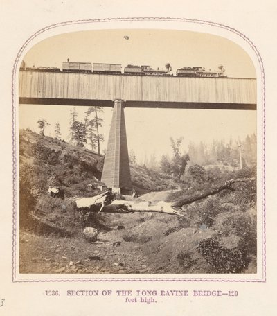Sezione del ponte di Long Ravine da Thomas Houseworth