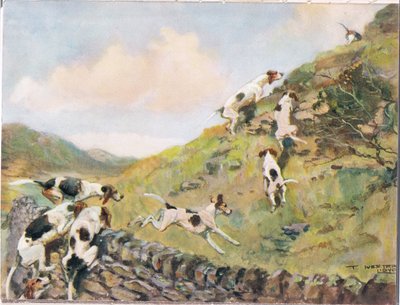 Scavalcando il Muro, illustrazione da 