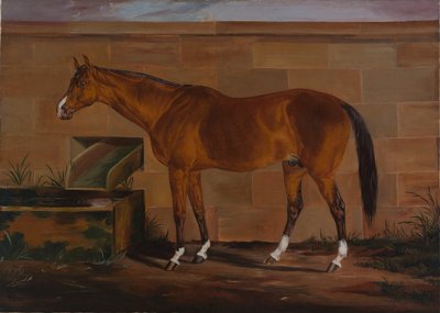 Ritratto di Lexington da Thomas J. Scott