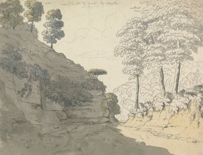 La strada da Santa Maria de Monte a Napoli da Thomas Jones