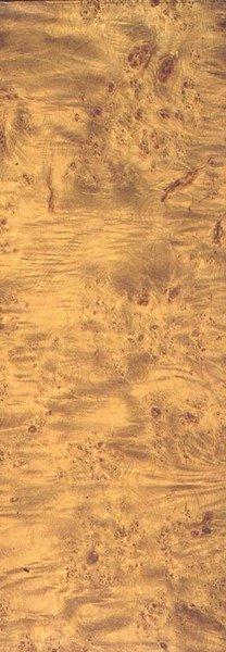 Cottonwood americano, c.1851-62 da Thomas Kershaw