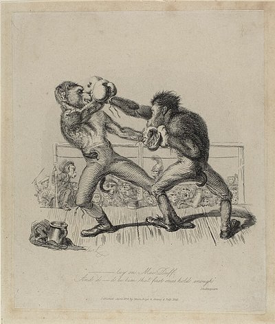 Scimmie che fanno boxe, da Monkey-ana da Thomas Landseer