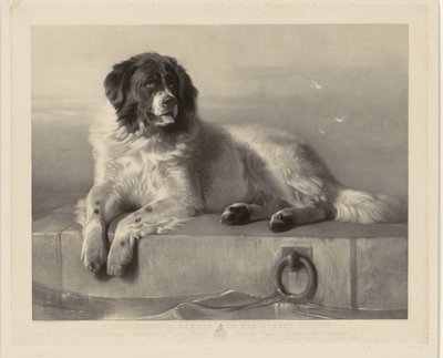 Ritratto del cane da salvataggio Bob, sdraiato su un molo da Thomas Landseer