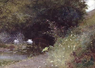 Cigni su un lago da Thomas Mackay