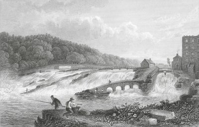 Il salto del salmone di Coleraine, Co Londonderry da Thomas Mann (after) Baynes