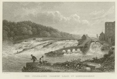 Il salto del salmone di Coleraine da Thomas Mann Baynes