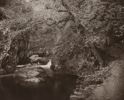 Il buco di Dargle, ca. 1865 da Thomas Marcus Brownrigg