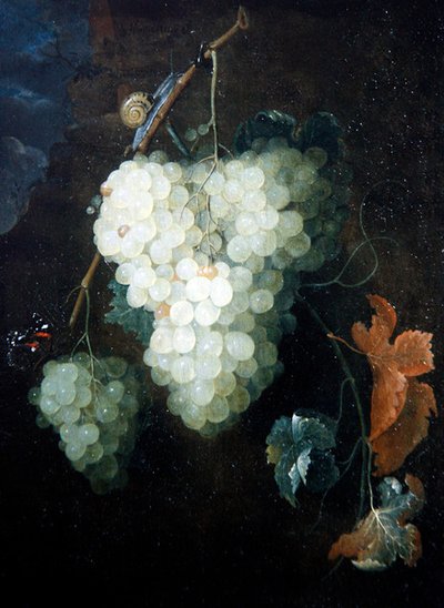 Natura morta con uva, un ammiraglio rosso e una lumaca da Thomas Mertens