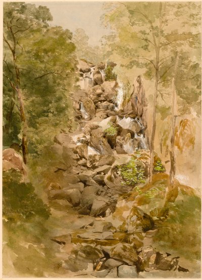 Paesaggio con cascata da Thomas Miles Richardson