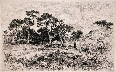Un vento da sud e un cielo nuvoloso proclamano una mattina di caccia da Thomas Moran