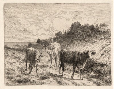 Mucche da Thomas Moran