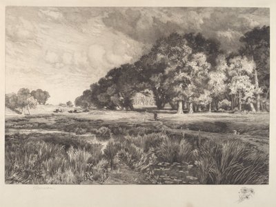 Paesaggio di Long Island da Thomas Moran