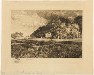 Paesaggio di Long Island da Thomas Moran