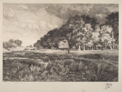 Paesaggio di Long Island da Thomas Moran