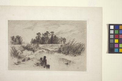 Paesaggio paludoso con ruscello da Thomas Moran