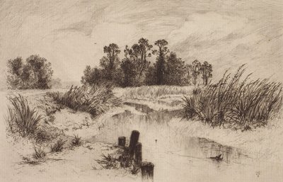 Paesaggio paludoso con ruscello da Thomas Moran