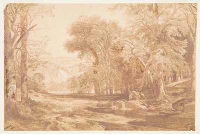 Sul Delaware Superiore (dopo un disegno a carboncino) da Thomas Moran