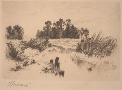 Prati di Passaic (Nei Prati di Newark) da Thomas Moran