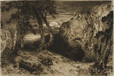 Il coyote - Arizona da Thomas Moran