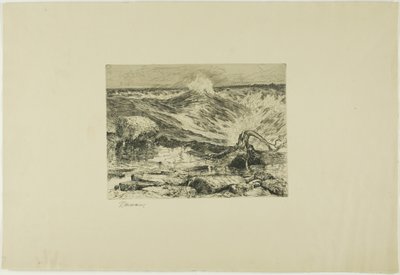 Le rapide sopra il Niagara da Thomas Moran