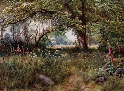 Giardini di Kew: Nei giardini del cottage della regina da Thomas Mower Martin