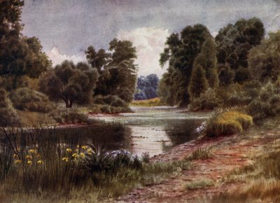 Giardini di Kew: Il lago, guardando a sud da Thomas Mower Martin