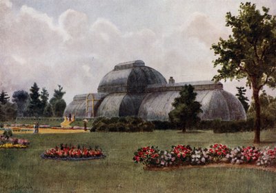 Kew Gardens: La Palm House da Thomas Mower Martin