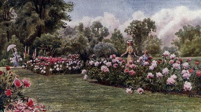 Kew Gardens: Le peonie da Thomas Mower Martin
