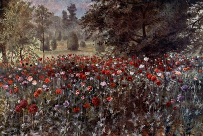 Giardini di Kew: I Letti di Papaveri da Thomas Mower Martin