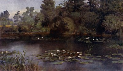 Giardini di Kew: Lo Stagno delle Ninfee da Thomas Mower Martin