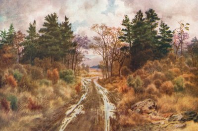 Strada vicino alla baia di Fundy, autunno (litografia a colori) da Thomas Mower Martin