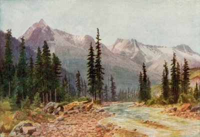 Le Montagne Rocciose da Thomas Mower Martin