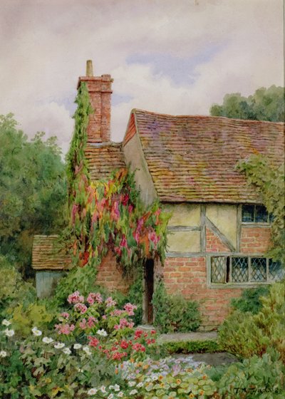 Un giardino di cottage del vecchio mondo da Thomas Nicholson Tyndale