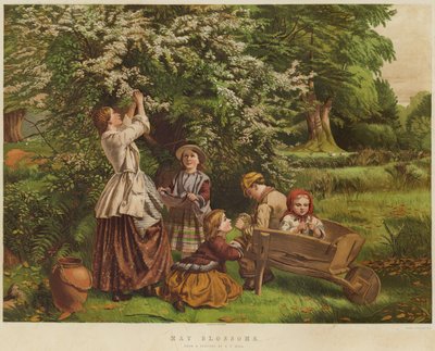 Fiori di maggio da Thomas P. Hall