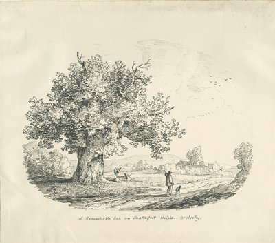 Arley - Shatterfort Height (litografia, 1839) da Thomas Peploe Wood