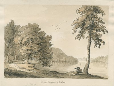 Biddulph Moor - Le Bride-Stones da Thomas Peploe Wood