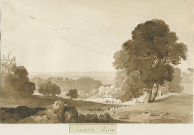 Cannock Chase da Thomas Peploe Wood