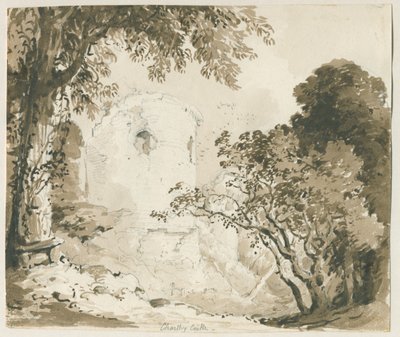 Castello di Chartley da Thomas Peploe Wood