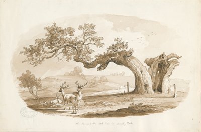 Chartley Hall - Parco da Thomas Peploe Wood