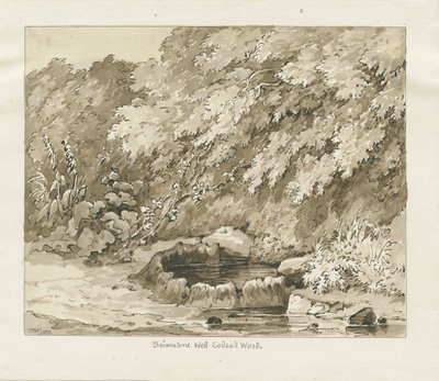 Codsall Wood - Pozzo di zolfo da Thomas Peploe Wood