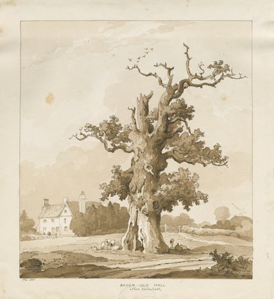 Eccleshall - Baden Old Hall da Thomas Peploe Wood