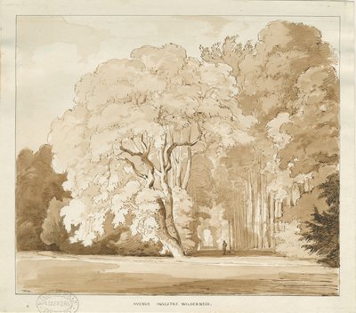 Ingestre - uno studio di alberi da Thomas Peploe Wood