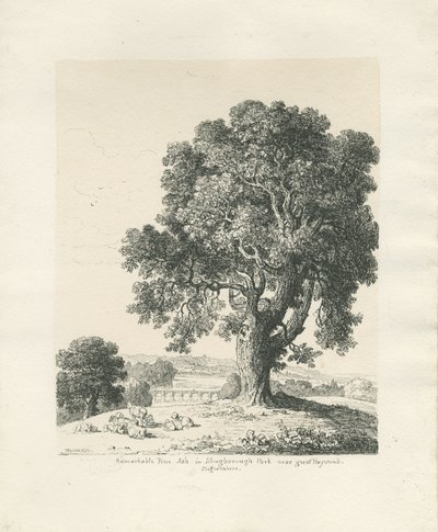 Shugborough Park - Albero di frassino da Thomas Peploe Wood